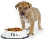 Än att mata en hund? Än att mata en hund?