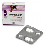 Distal för hundhundar