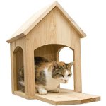 Hur man gör ett hus för en katt Hur man gör ett hus för en katt