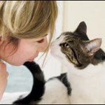 Tumör i en katt