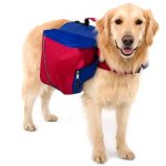 Ryggsäck för en hund Ryggsäck för en hund