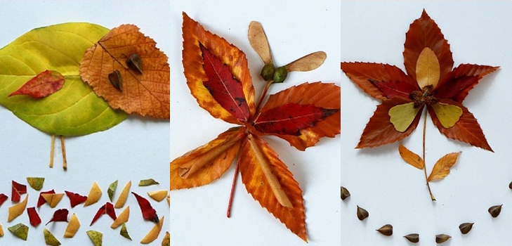 Applique från hösten löv för dagis och 1-2 klasser av skolan, mästarklasser med foto och video
