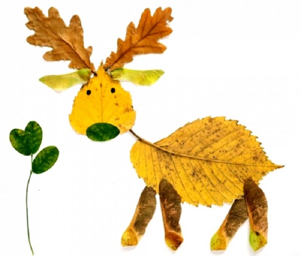 Applique från hösten löv för dagis och 1-2 klasser av skolan, mästarklasser med foto och video