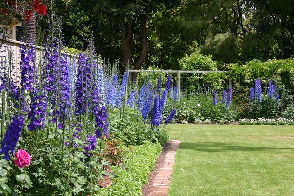 Vackra blommor för en blomsterbädd