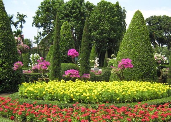 Vackra blommor för en blomsterbädd