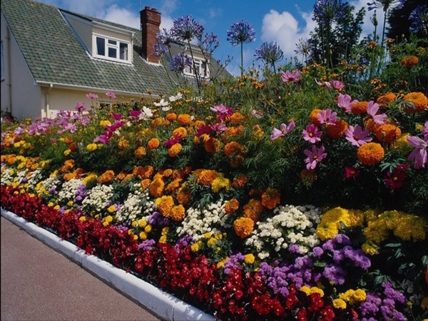 Vackra blommor för en blomsterbädd