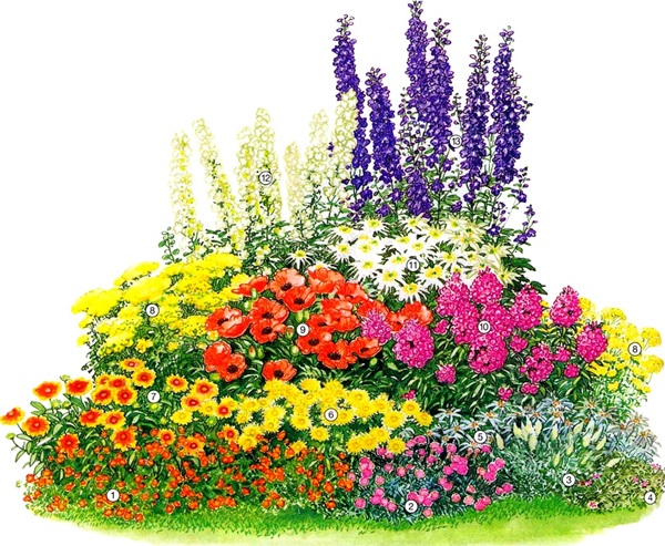 Vackra blommor för en blomsterbädd