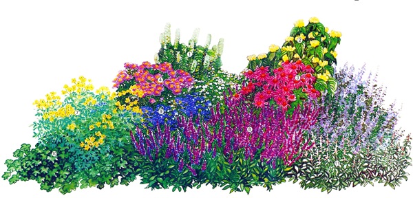 Vackra blommor för en blomsterbädd