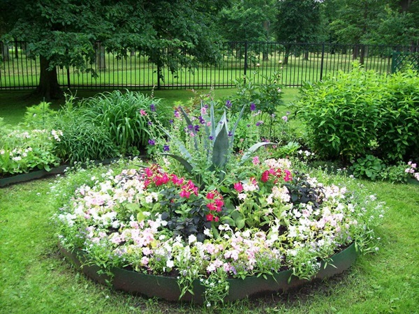 Vackra blommor för en blomsterbädd