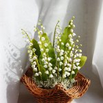 Blommor från kallt porslin Blommor från kallt porslin