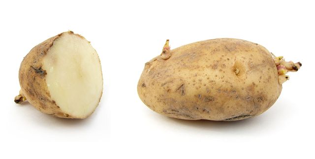 Hur man lagrar potatis på vintern