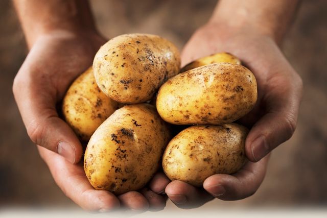 Hur man lagrar potatis på vintern