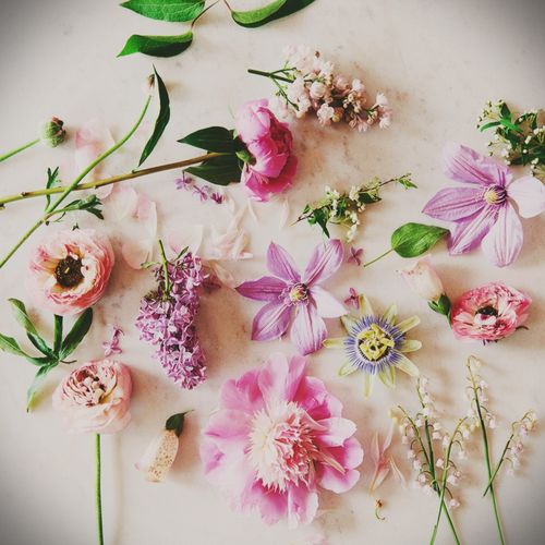 Hur man torkar blommor till en herbarium