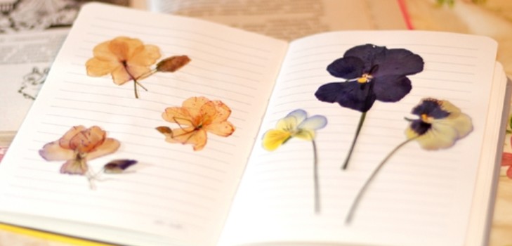 Att lära sig att göra en herbarium och ett album för honom med egna händer