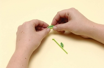 Quilling blommor från papper till nybörjare