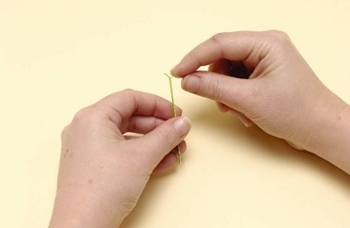 Quilling blommor från papper till nybörjare
