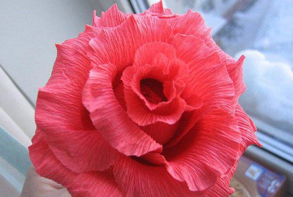 Rosor gjorda av wellpapp Rosor gjorda av wellpapp