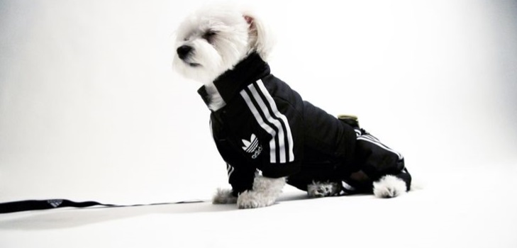 Varm fleece övergripande för en hund