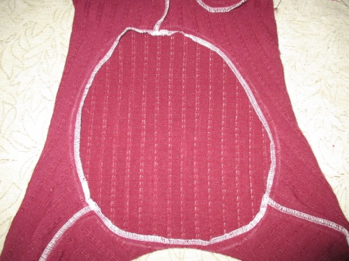 Varm fleece övergripande för en hund