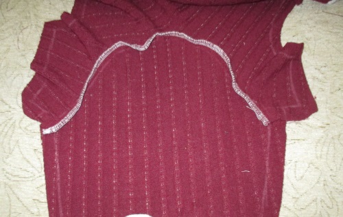 Varm fleece övergripande för en hund