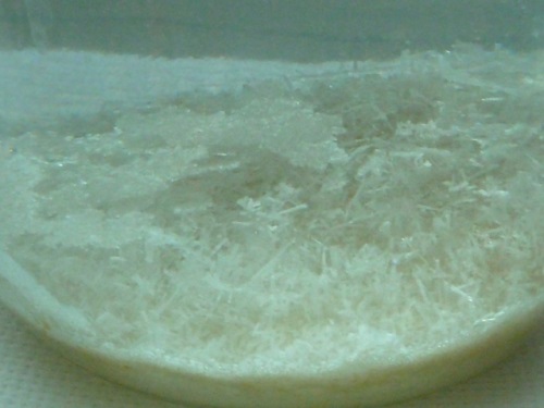 Saltkristall hemma