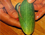 Carving från grönsaker och frukter?