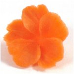 Carving från grönsaker och frukter?