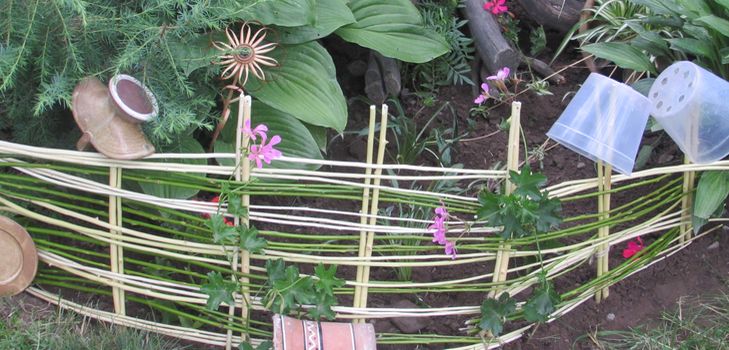Blomstersäng från vinstocken med egna händer