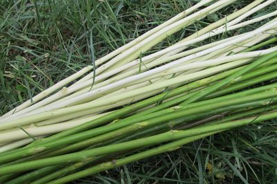 Blomstersäng från vinstocken med egna händer