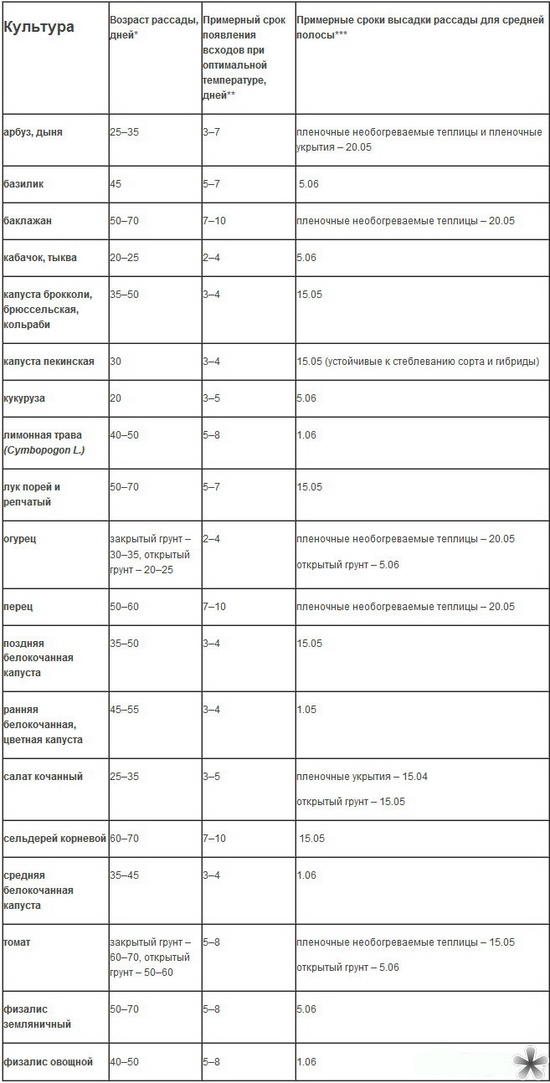 När planterar plantor på marken?