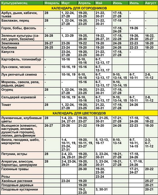 Månadskalender för trädgårdsodlingens trädgårdsmästare i augusti 2015