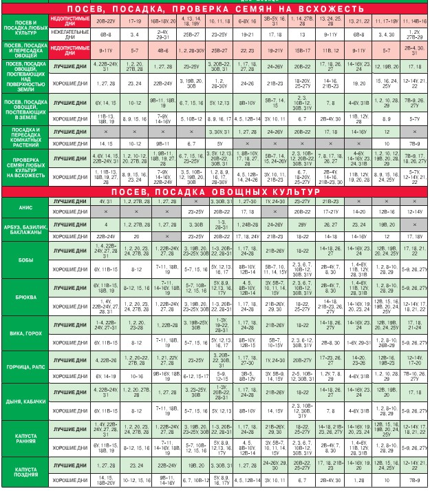 Månadskalender för trädgårdsodlingens trädgårdsmästare i augusti 2015