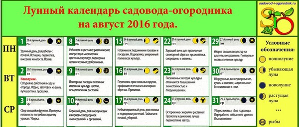 Jordbrukskvarnsbrukare för augusti 2016 för Moskva-regionen, Rysslands mittbälte, Uralerna, Sibirien, Nordvästra, Vitryssland och Ukraina Jordbrukskvarnsbrukare för augusti 2016 för Moskva-regionen, Rysslands mittbälte, Uralerna, Sibirien, Nordvästra, Vitryssland och Ukraina