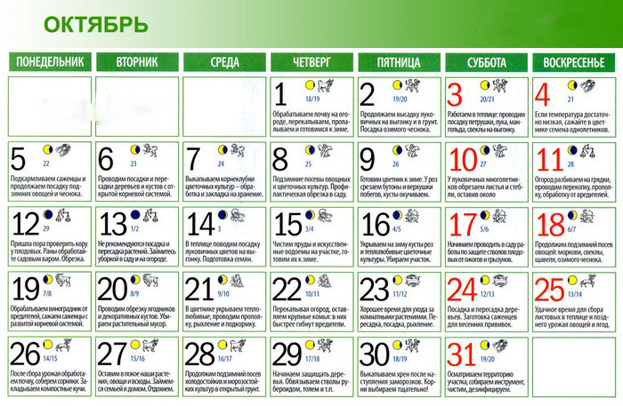 Horticulturist-trädgårdsmästarens månskalender i oktober 2015
