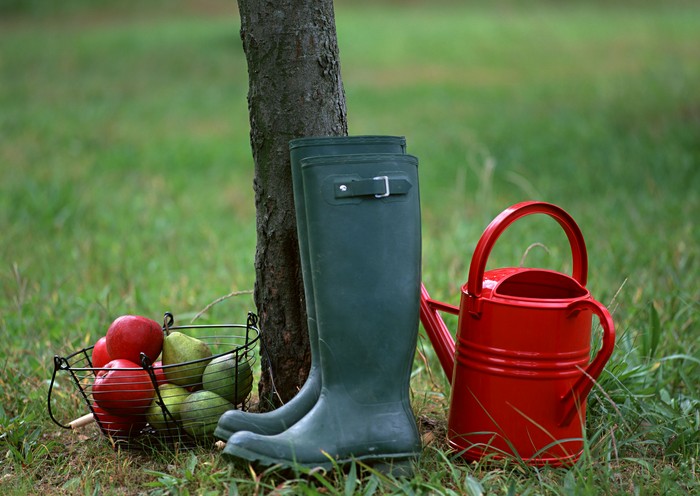 Horticulturist-trädgårdsmästarens månskalender i oktober 2015