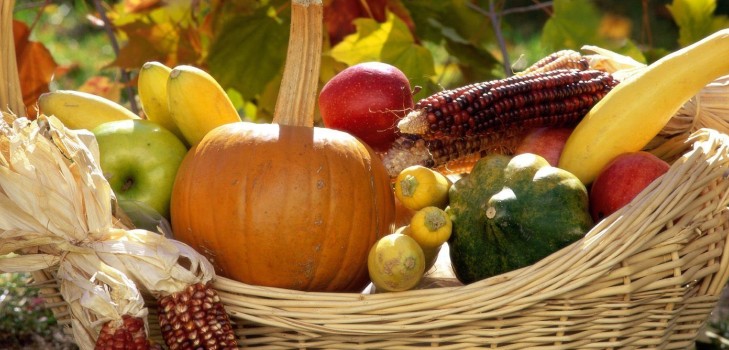 Horticulturist-trädgårdsmästarens månskalender i oktober 2015