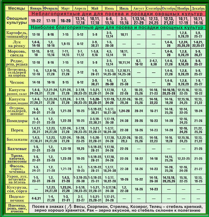 Månadskalender för trädgårdsmästare-trädgårdsmästaren i september 2015