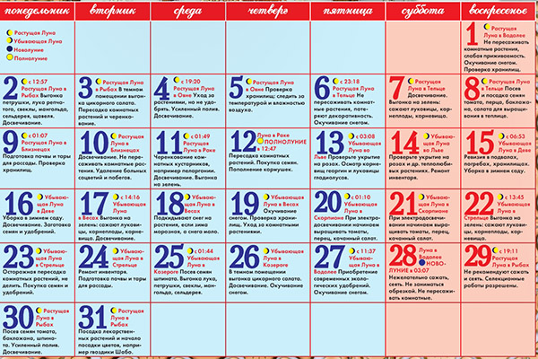 Lunar sådd kalender för januari 2017 i bordet för trädgårdsmästare och lastbilsbönder. Gynnsamma planteringsdagar för tomater (tomater) för månplantor-2017