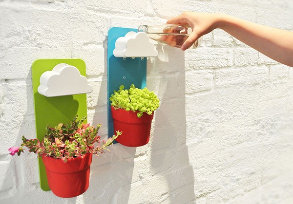 Rengöring, sedum, hare gräs! Odling av succulenter i blomsterbädden och på vindrutan