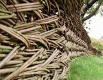 Wickerwork - dekoration av din webbplats Wickerwork - dekoration av din webbplats