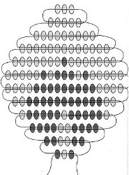 Schema av rosor från pärlor