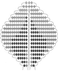 Schema av rosor från pärlor Schema av rosor från pärlor