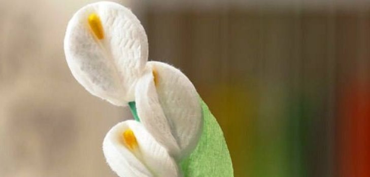 En gåva till mamma blommor från en bomullsskiva mästerklass med ett foto Blommor från bomullsull med egna händer