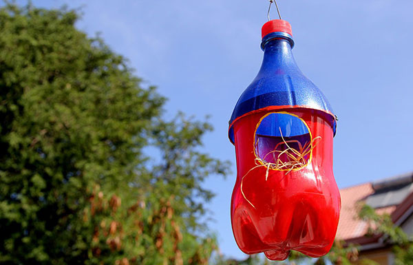 Nytt hantverk från plastflaskor med egna händer för trädgård och fruktträdgård