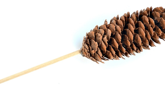Hantverk av naturmaterial: Mini-trä med egna händer
