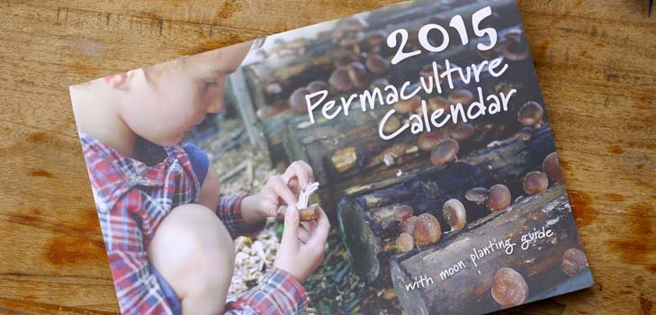 Såkningskalender 2015: Vi planerar att arbeta från januari till december