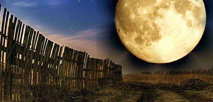 Lunar Seed Calendar för april 2017