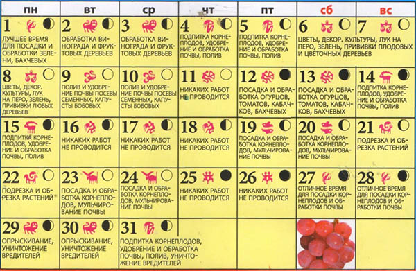 Lunar seed kalender för maj 2017