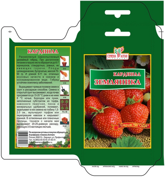 Fröplantor av jordgubbar och jordgubbar