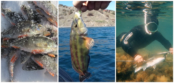 Fisk stora och små: de bästa platserna för fiske på Krim
